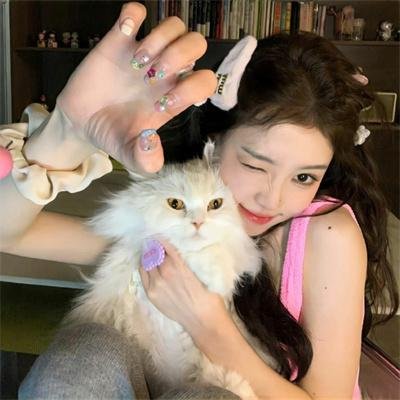 几度菊花香