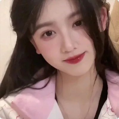 女警事业